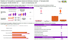 Relatório de Transparência e Igualdade Salarial de Mulheres e Homens - 2º Semestre 2024 Empregador: 59.984.344/0001-25 / Quant. de trabalhadores: 261